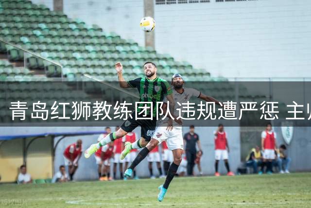 青岛红狮教练团队违规遭严惩 主帅领队双双遭禁赛罚款